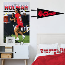 Load image into Gallery viewer, Maryland Charm Felt Pennant