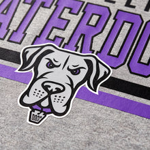 Load image into Gallery viewer, Philadelphia Waterdogs Nike Dri-FIT Stripe Tee