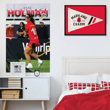 Load image into Gallery viewer, Maryland Charm Retro Canvas Pennant
