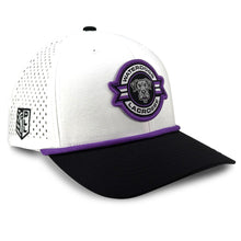 Load image into Gallery viewer, Philadelphia Waterdogs Performance Hat
