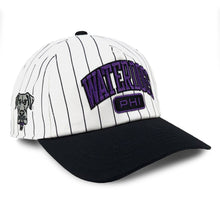 Load image into Gallery viewer, Philadelphia Waterdogs Pinstripe Hat
